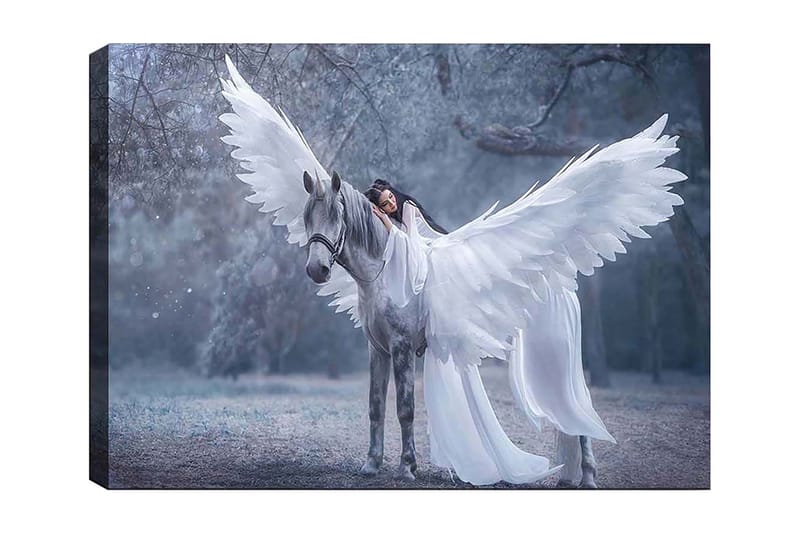 Canvas taulu 70x100 cm - Siivekäs nainen syleilee harmaata hevosta, jolla on suuret valkoiset siivet, Valkoinen / Harmaa / Vaaleansininen