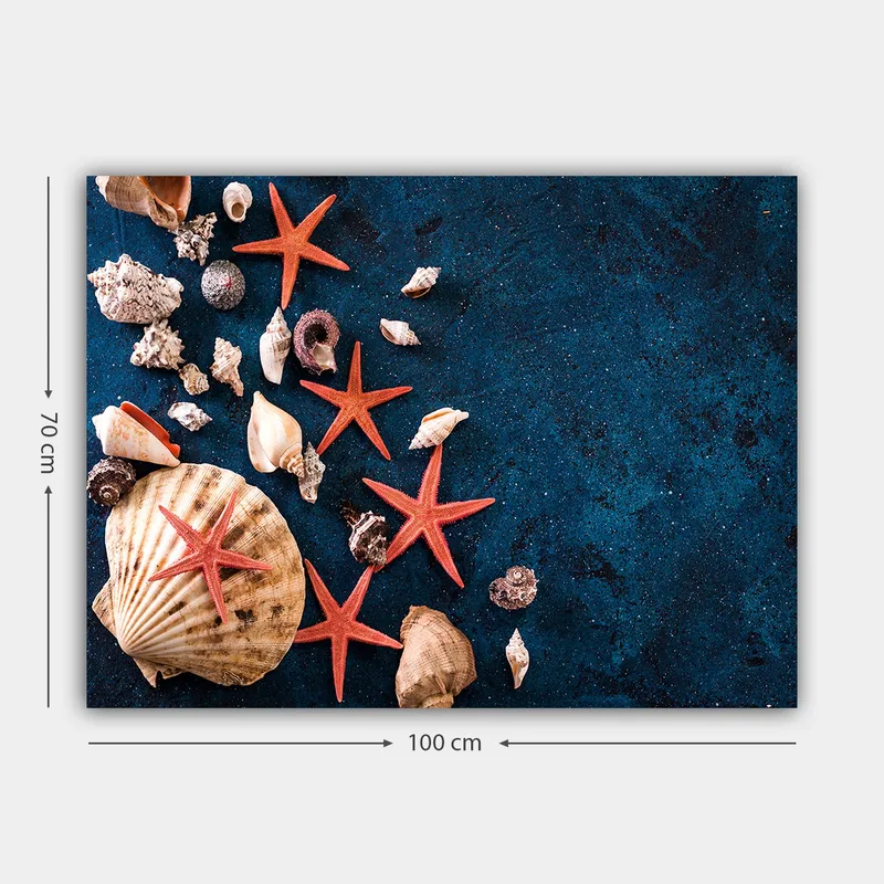Canvas taulu 70x100 cm - Simpukankuoria ja meritähtiä syvänsinisellä pinnalla - Syvän sininen / Punainen / Beige - Sisustustuotteet - Taulu & taide - Canvas-taulu
