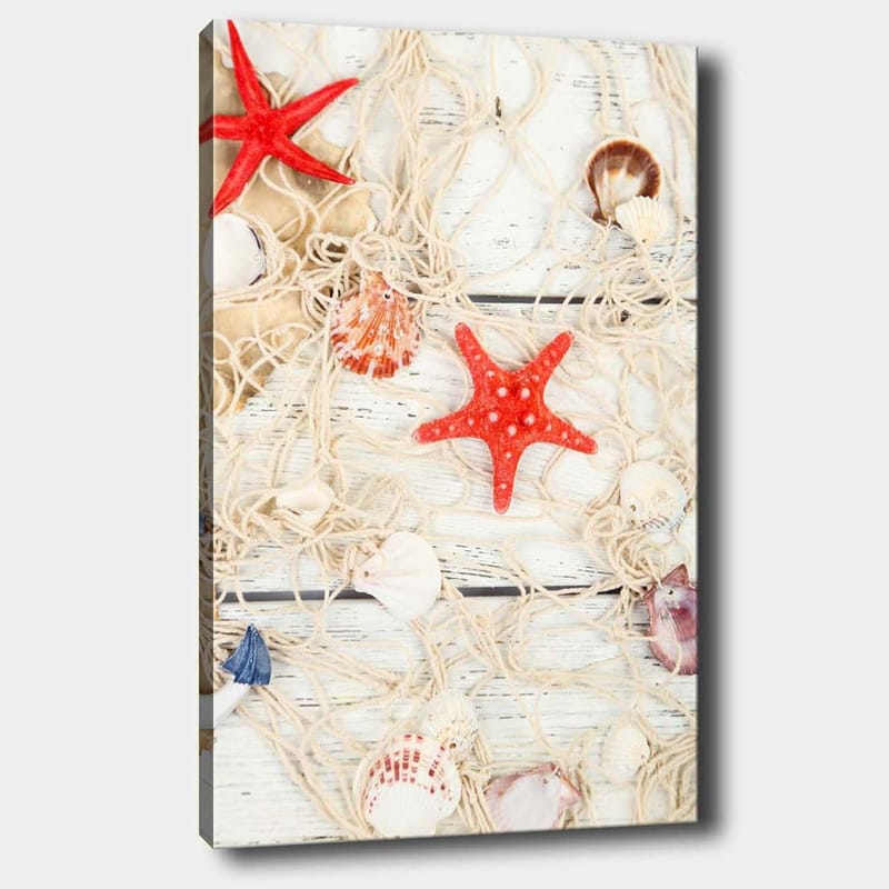 Canvas taulu 70x100 cm - Simpukankuoria ja tähtimuotoisia meritähtiä verkossa, Punainen / Beige / Valkoinen