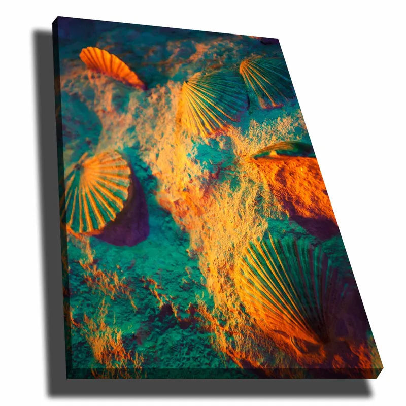 Canvas taulu 70x100 cm - Simpukoiden kuoret hiekalla värikkäällä ja unenomaisella taustalla, Turkoosi / Oranssi / Violetti