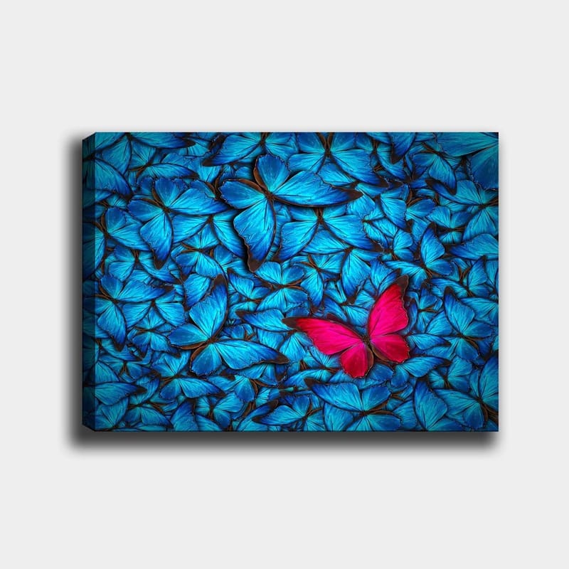Canvas taulu 70x100 cm - Sinisten perhosten kokoelma, jonka keskellä on näkyvä vaaleanpunainen perhonen, Sininen / Vaaleanpunainen