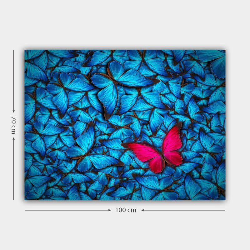 Canvas taulu 70x100 cm - Sinisten perhosten kokoelma, jonka keskellä on näkyvä vaaleanpunainen perhonen - Sininen / Vaaleanpunainen - Sisustustuotteet - Taulu & taide - Canvas-taulu