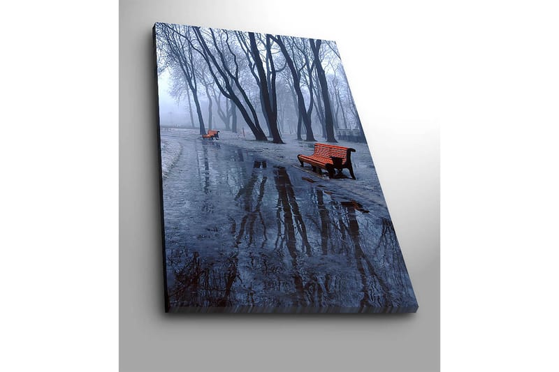 Canvas taulu 70x100 cm - Sumuinen puisto, jossa kaksi oranssia penkkiä kylmien, paljaiden puiden ympäröimänä - Oranssi / Sininen / Harmaa - Sisustustuotteet - Taulu & taide - Canvas-taulu