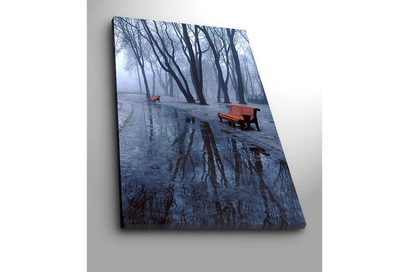 Canvas taulu 70x100 cm - Sumuinen puisto, jossa kaksi oranssia penkkiä kylmien, paljaiden puiden ympäröimänä - Oranssi / Sininen / Harmaa - Sisustustuotteet - Taulu & taide - Canvas-taulu