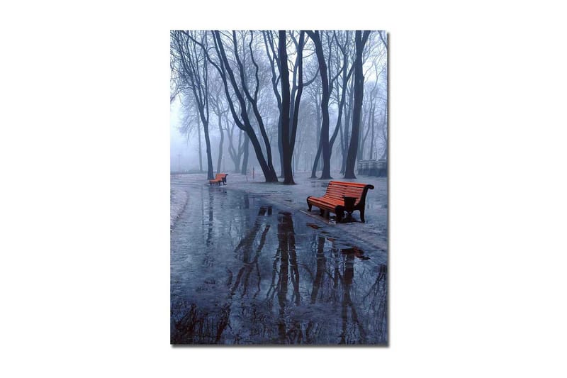 Canvas taulu 70x100 cm - Sumuinen puisto, jossa kaksi oranssia penkkiä kylmien, paljaiden puiden ympäröimänä, Oranssi / Sininen / Harmaa