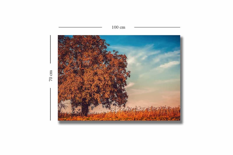 Canvas taulu 70x100 cm - Suuri, oranssi puun latvus syksyn väreissä kirkasta sinistä taivasta vasten - Oranssi / Sininen / Beige - Sisustustuotteet - Taulu & taide - Canvas-taulu