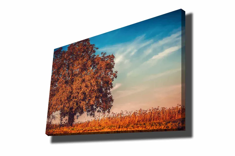Canvas taulu 70x100 cm - Suuri, oranssi puun latvus syksyn väreissä kirkasta sinistä taivasta vasten - Oranssi / Sininen / Beige - Sisustustuotteet - Taulu & taide - Canvas-taulu