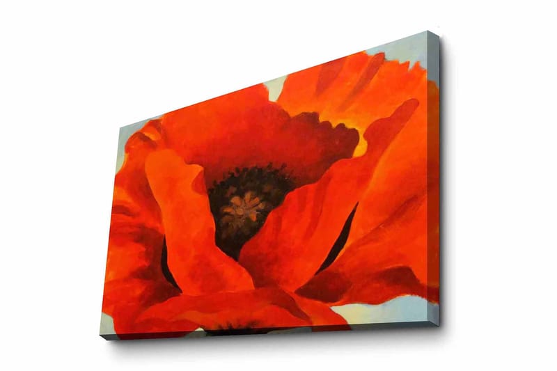 Canvas taulu 70x100 cm - Suuri, värikäs unikko intensiivisillä punaisen ja oranssin sävyillä, Punainen / oranssi