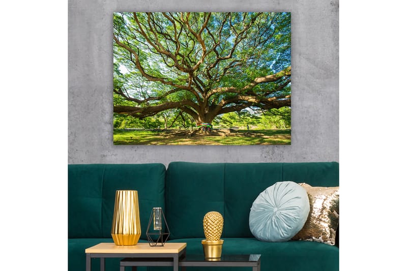 Canvas taulu 70x100 cm - Suuri ja majesteettinen puu leviävine oksineen ja rehevine vihreyksineen - Vihreä / Ruskea - Sisustustuotteet - Taulu & taide - Canvas-taulu