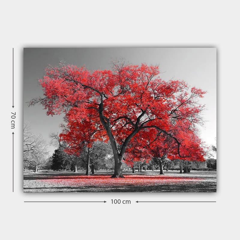 Canvas taulu 70x100 cm - Suuri punainen puu mustavalkoisessa puistomaisemassa - Punainen / Musta - Sisustustuotteet - Taulu & taide - Canvas-taulu
