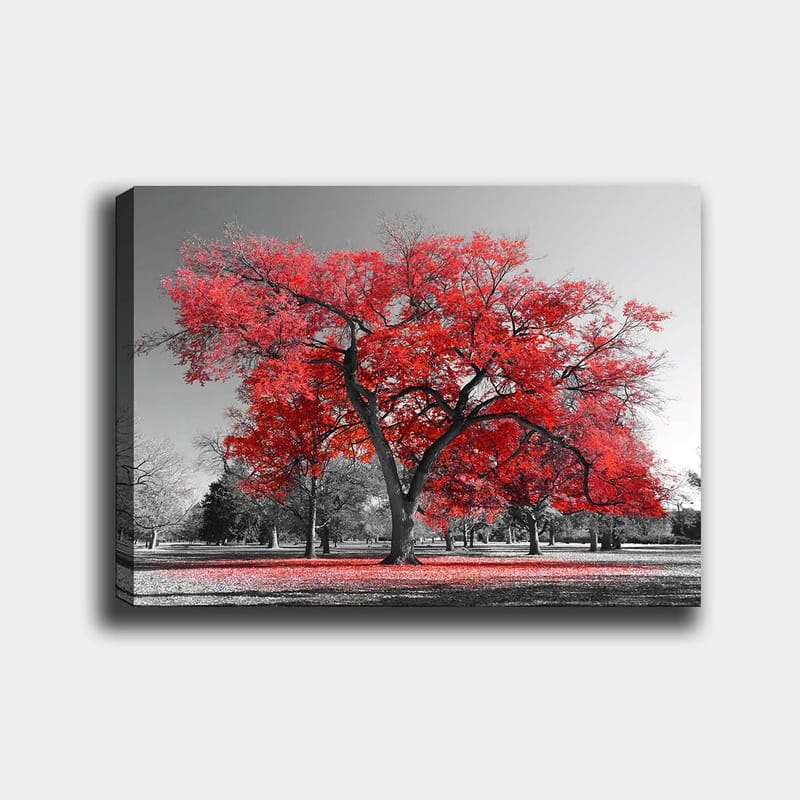 Canvas taulu 70x100 cm - Suuri punainen puu mustavalkoisessa puistomaisemassa, Punainen / Musta