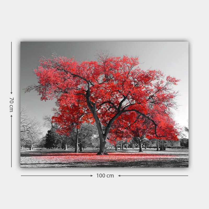 Canvas taulu 70x100 cm - Suuri punainen puu mustavalkoisessa puistomaisemassa - Punainen / Musta - Sisustustuotteet - Taulu & taide - Canvas-taulu