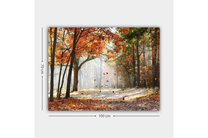 Canvas taulu 70x100 cm - Syksyn metsämaisema putoavilla lehdillä lämpimin värein - Oranssi / Ruskea / Vihreä - Sisustustuotteet - Taulu & taide - Canvas-taulu