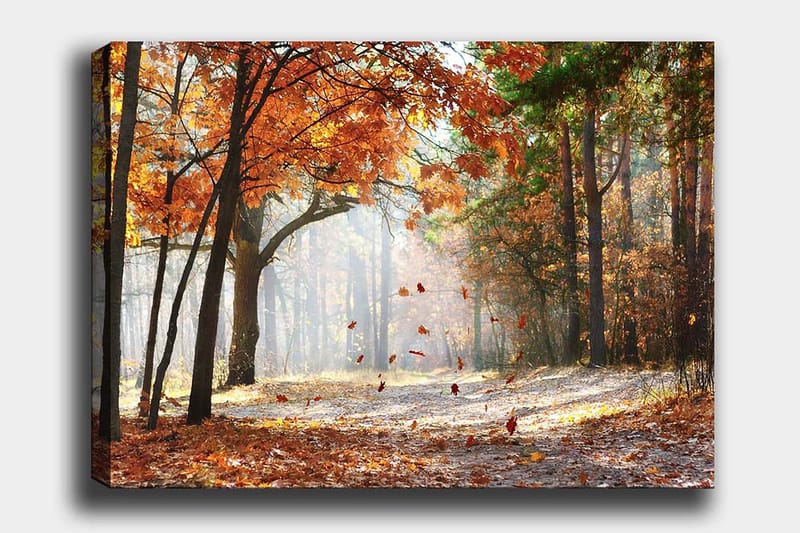 Canvas taulu 70x100 cm - Syksyn metsämaisema putoavilla lehdillä lämpimin värein, Oranssi / Ruskea / Vihreä
