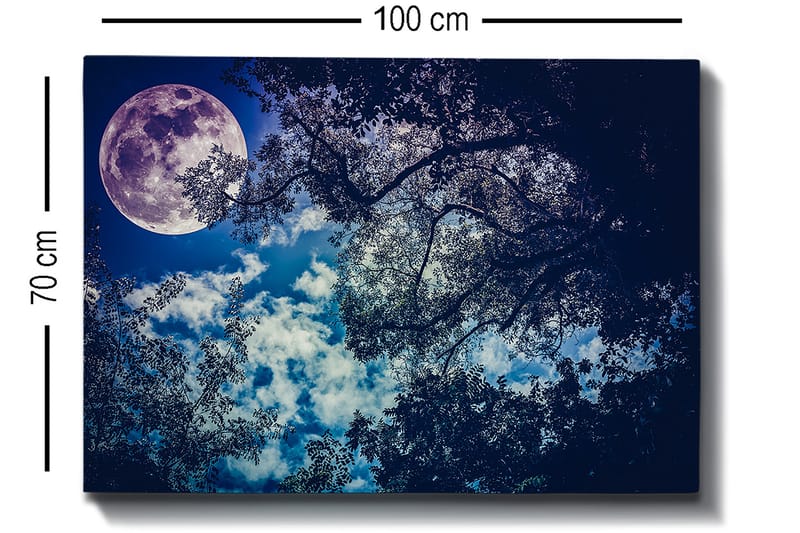 Canvas taulu 70x100 cm - Tähtikirkas yö, jossa suuri kuu paistaa puiden oksien välistä - Tummansininen / Vaaleansininen / Violetti - Sisustustuotteet - Taulu & taide - Canvas-taulu