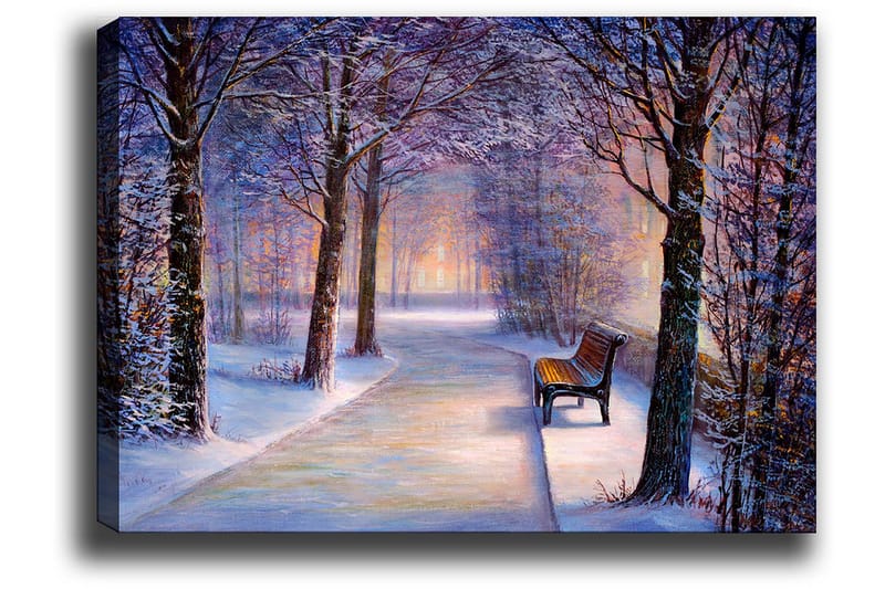 Canvas taulu 70x100 cm - Talvikävely lumipeitteisten puiden ja yksinäisen penkin keskellä polkua - Sininen / Valkoinen / Harmaa - Sisustustuotteet - Taulu & taide - Canvas-taulu