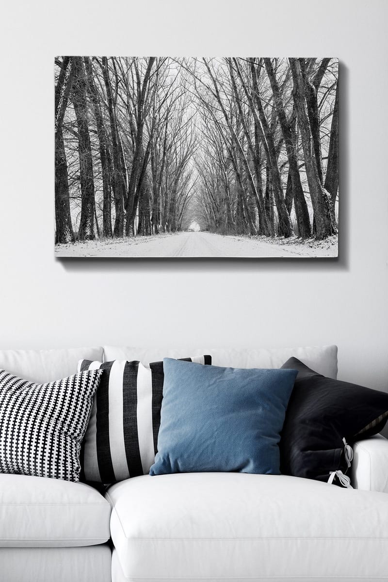 Canvas taulu 70x100 cm - Talvitie, jota ympäröivät paljaat puut luovat tunnelmallisen ja rauhallisen tunnelman - Musta / Valkoinen / Harmaa - Sisustustuotteet - Taulu & taide - Canvas-taulu