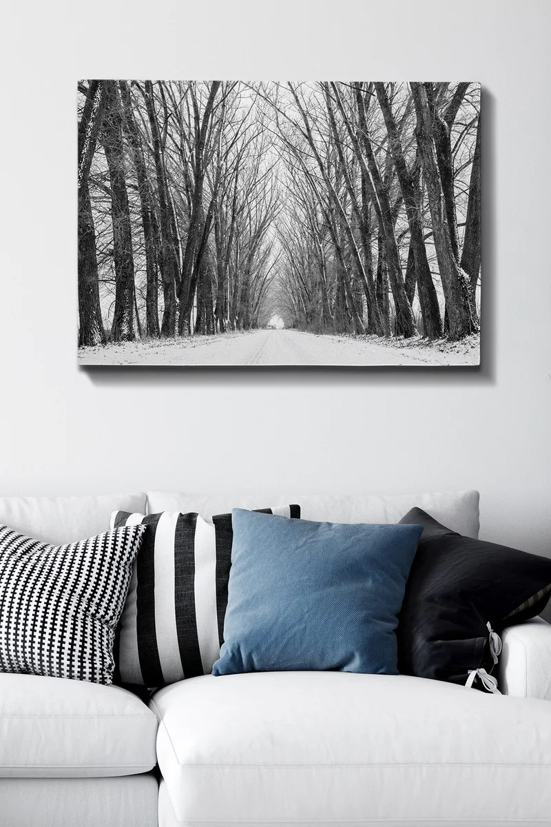 Canvas taulu 70x100 cm - Talvitie, jota ympäröivät paljaat puut luovat tunnelmallisen ja rauhallisen tunnelman - Musta / Valkoinen / Harmaa - Sisustustuotteet - Taulu & taide - Canvas-taulu