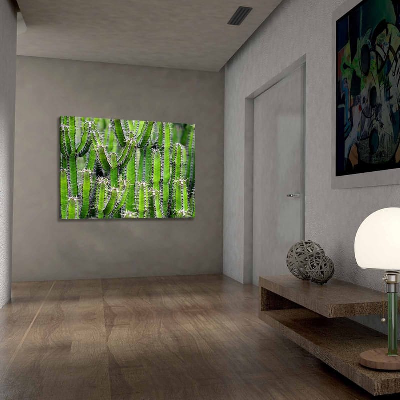 Canvas taulu 70x100 cm - Tiheä kaktuskokoelma pitkine, kapeine varsineen ja piikkeineen - Vihreä / Vaaleanvihreä - Sisustustuotteet - Taulu & taide - Canvas-taulu