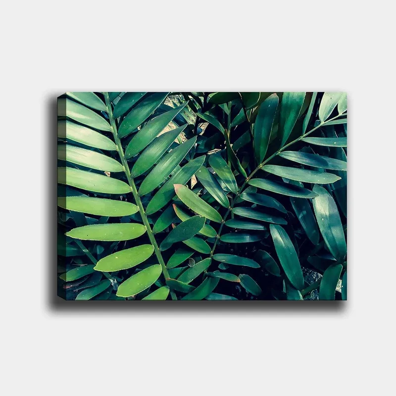 Canvas taulu 70x100 cm - Tiheästi kudotut vihreät kasvinlehdet luovat rehevän ja eloisan tunnelman, Tummanvihreä / Vaaleanvihreä