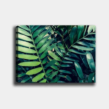 Canvas taulu 70x100 cm - Tiheästi kudotut vihreät kasvinlehdet luovat rehevän ja eloisan tunnelman - Tummanvihreä / Vaaleanvihreä - Sisustustuotteet - Taulu & taide - Canvas-taulu