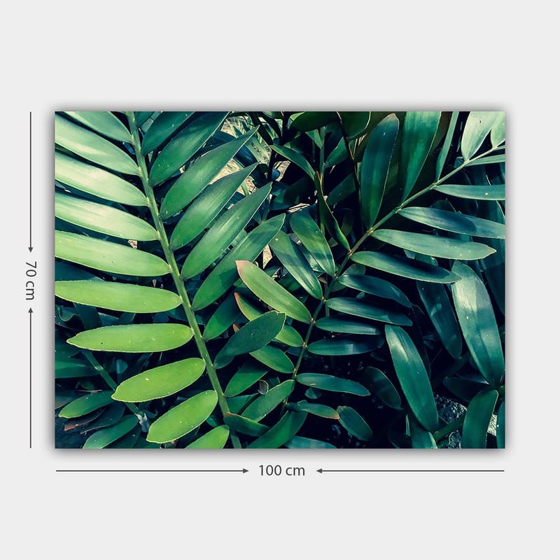 Canvas taulu 70x100 cm - Tiheästi kudotut vihreät kasvinlehdet luovat rehevän ja eloisan tunnelman - Tummanvihreä / Vaaleanvihreä - Sisustustuotteet - Taulu & taide - Canvas-taulu