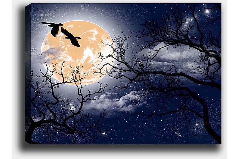 Canvas taulu 70x100 cm - Tunnelmallinen yömaisema, jossa suuri kuu ja taivaalla lentävien puiden ja lintujen siluetit - Tummansininen / Musta / Vaaleankeltainen - Sisustustuotteet - Taulu & taide - Canvas-taulu