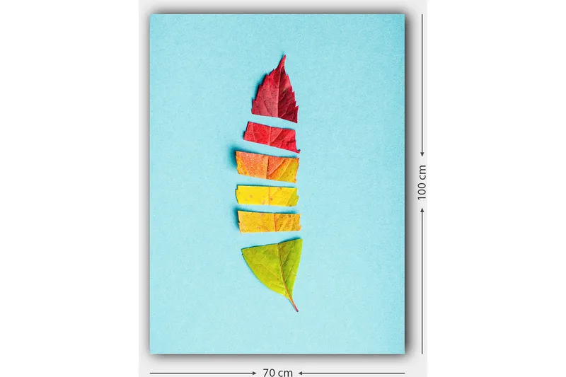 Canvas taulu 70x100 cm - Tyylitelty höyhen värikkäistä syksynlehdistä - Punainen / Keltainen / Vihreä - Sisustustuotteet - Taulu & taide - Canvas-taulu