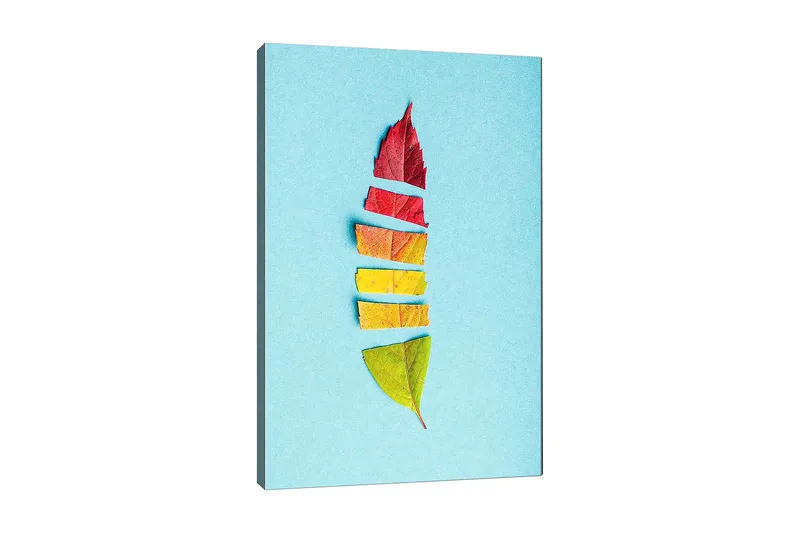 Canvas taulu 70x100 cm - Tyylitelty höyhen värikkäistä syksynlehdistä, Punainen / Keltainen / Vihreä