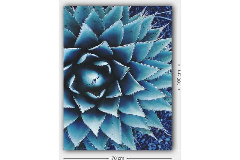 Canvas taulu 70x100 cm - Tyylitelty kuva agaavekasvista, jossa keskitytään sen symmetriseen lehtirakenteeseen - Sininen / Vihreä - Sisustustuotteet - Taulu & taide - Canvas-taulu