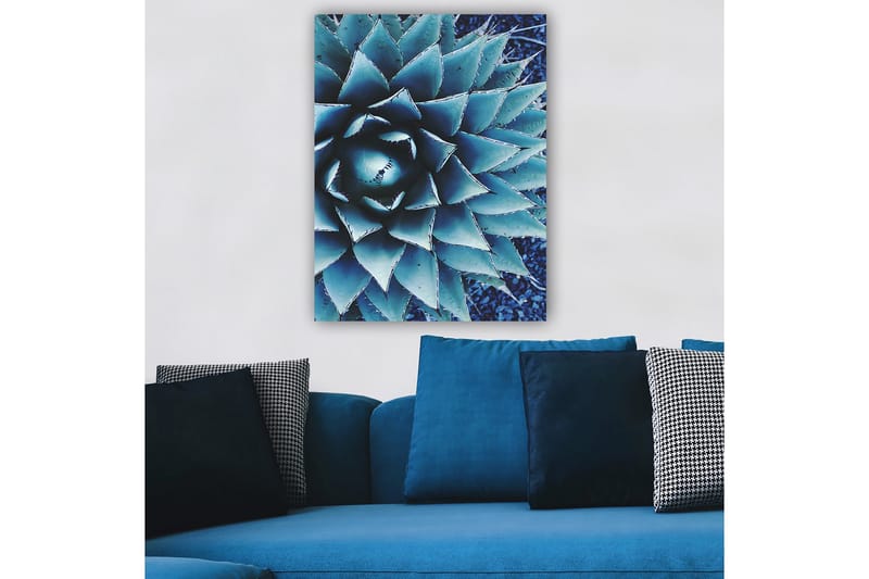 Canvas taulu 70x100 cm - Tyylitelty kuva agaavekasvista, jossa keskitytään sen symmetriseen lehtirakenteeseen - Sininen / Vihreä - Sisustustuotteet - Taulu & taide - Canvas-taulu