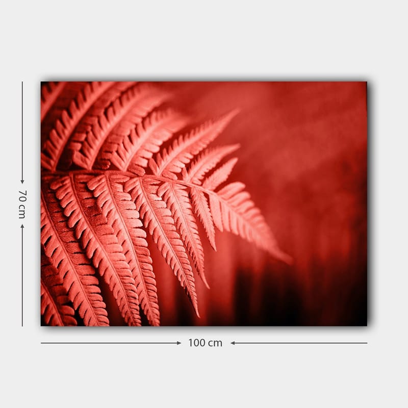 Canvas taulu 70x100 cm - Tyylitelty kuva punertavasta saniaisesta, joka korostaa sen yksityiskohtia - Punainen / Musta - Sisustustuotteet - Taulu & taide - Canvas-taulu