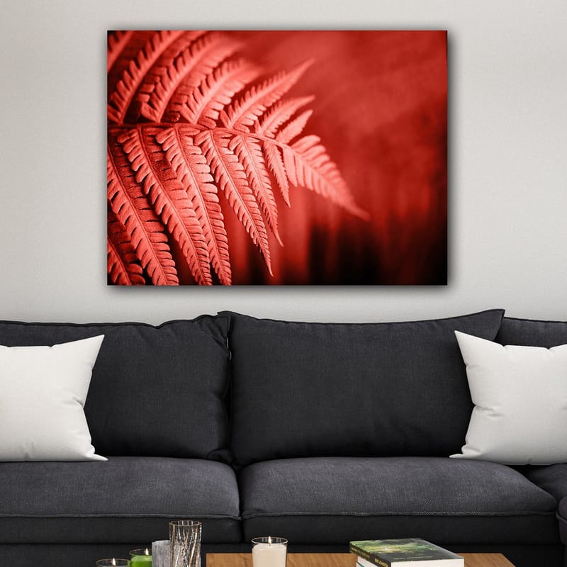 Canvas taulu 70x100 cm - Tyylitelty kuva punertavasta saniaisesta, joka korostaa sen yksityiskohtia - Punainen / Musta - Sisustustuotteet - Taulu & taide - Canvas-taulu