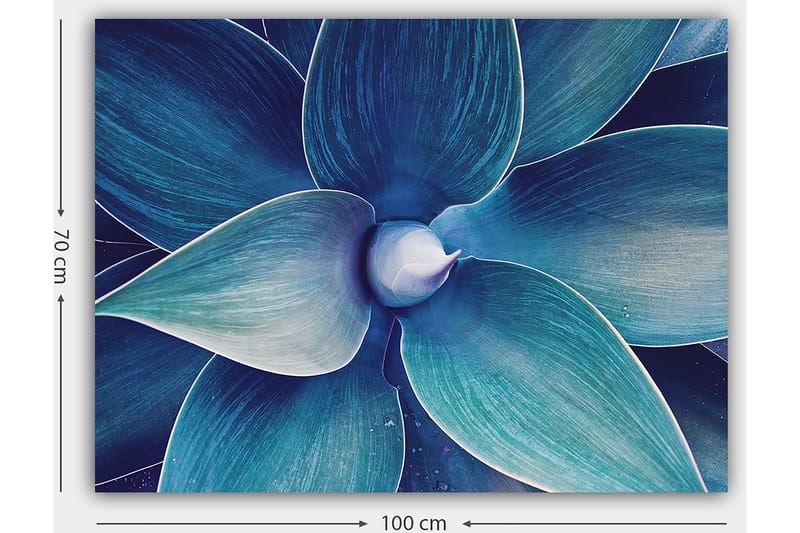 Canvas taulu 70x100 cm - Tyylitelty lähikuva kasvista, jolla on suuret, laineilevat lehdet - Sininen / Turkoosi - Sisustustuotteet - Taulu & taide - Canvas-taulu