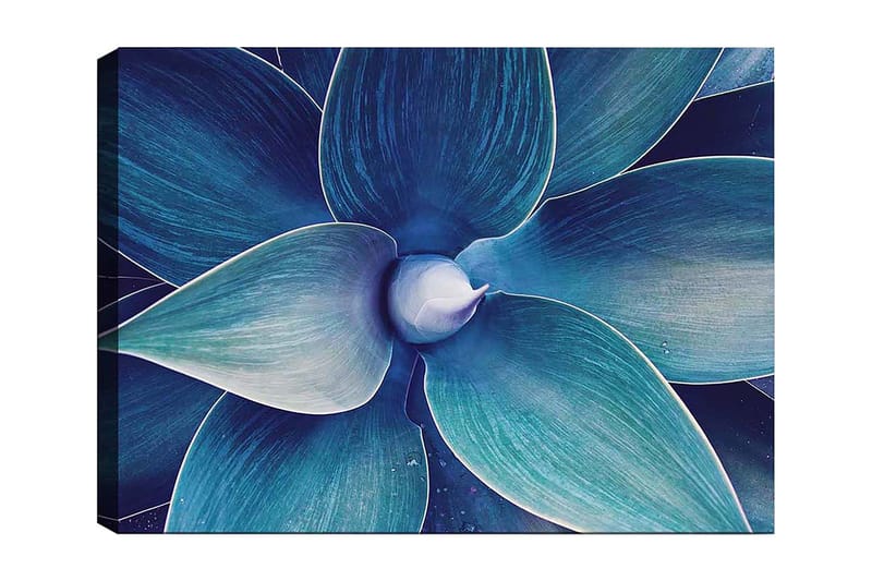 Canvas taulu 70x100 cm - Tyylitelty lähikuva kasvista, jolla on suuret, laineilevat lehdet, Sininen / Turkoosi