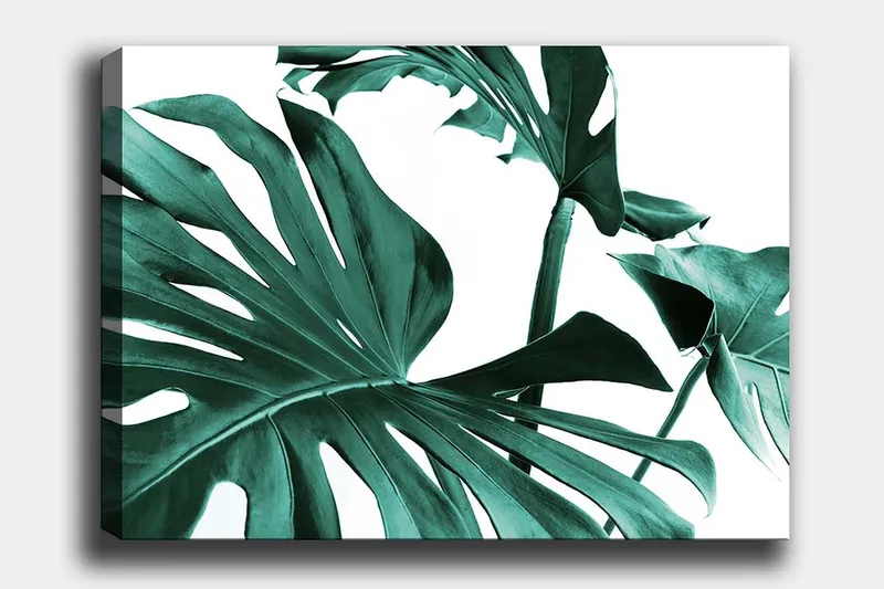Canvas taulu 70x100 cm - Tyyliteltyjä vihreitä palmunlehtiä valkoista taustaa vasten, Tummanvihreä / Turkoosi
