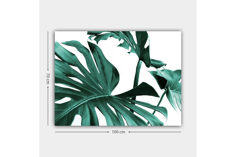 Canvas taulu 70x100 cm - Tyyliteltyjä vihreitä palmunlehtiä valkoista taustaa vasten - Tummanvihreä / Turkoosi - Sisustustuotteet - Taulu & taide - Canvas-taulu