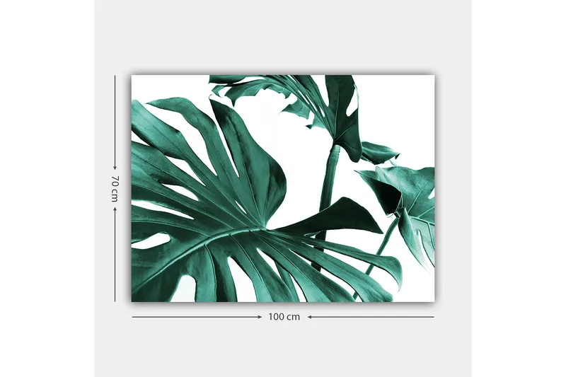 Canvas taulu 70x100 cm - Tyyliteltyjä vihreitä palmunlehtiä valkoista taustaa vasten - Tummanvihreä / Turkoosi - Sisustustuotteet - Taulu & taide - Canvas-taulu