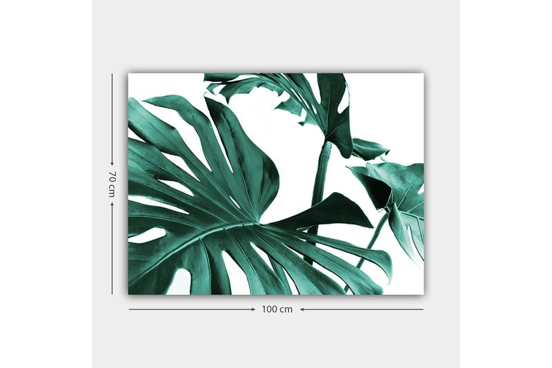 Canvas taulu 70x100 cm - Tyyliteltyjä vihreitä palmunlehtiä valkoista taustaa vasten - Tummanvihreä / Turkoosi - Sisustustuotteet - Taulu & taide - Canvas-taulu