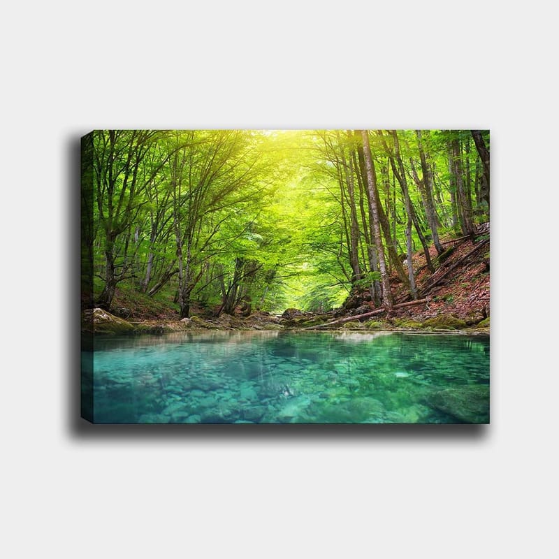 Canvas taulu 70x100 cm - Tyyni metsäjärvi, jota ympäröivät rehevät vihreät puut ja kallioiset rannat, Vihreä / Turkoosi