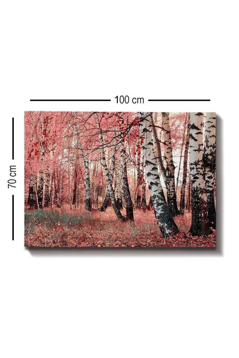 Canvas taulu 70x100 cm - Unelmametsä koivujen ympäröimänä vaaleanpunaisten ja punaisten lehtien ympäröimänä - Vaaleanpunainen / Valkoinen / Musta - Sisustustuotteet - Taulu & taide - Canvas-taulu