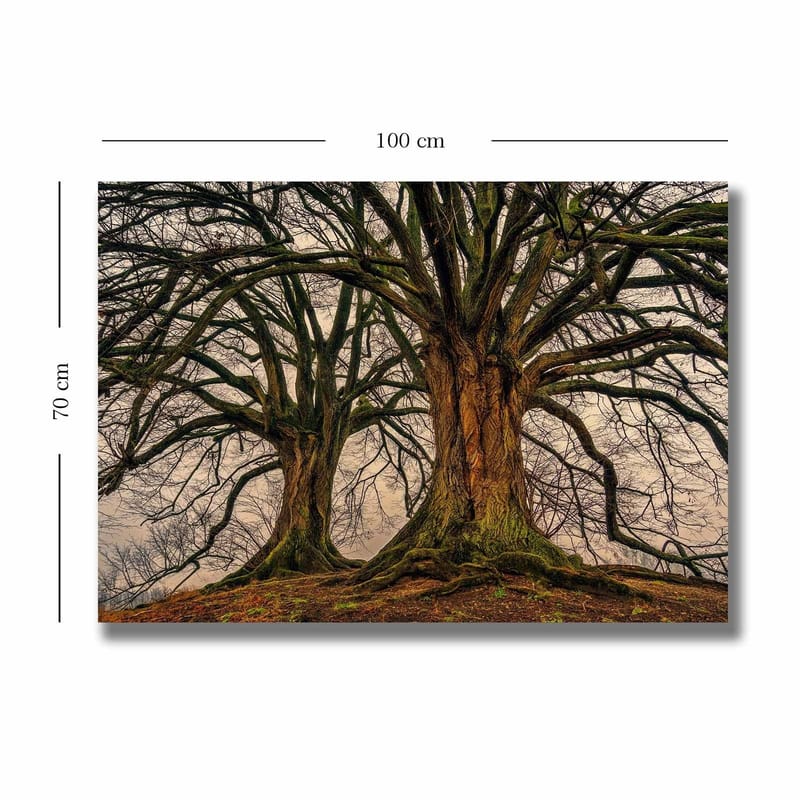 Canvas taulu 70x100 cm - Upeat puut vahvoine oksineen ja yksityiskohtaisine kaarnoilla - Tummanruskea / Vihreä / Beige - Sisustustuotteet - Taulu & taide - Canvas-taulu