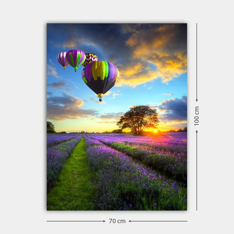 Canvas taulu 70x100 cm - Useita värikkäitä kuumailmapalloja leijuu laventelipellon yllä auringonlaskun valossa - Violetti / Vihreä / Musta - Sisustustuotteet - Taulu & taide - Canvas-taulu