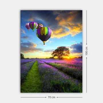 Canvas taulu 70x100 cm - Useita värikkäitä kuumailmapalloja leijuu laventelipellon yllä auringonlaskun valossa - Violetti / Vihreä / Musta - Sisustustuotteet - Taulu & taide - Canvas-taulu
