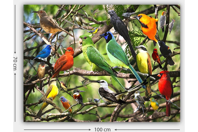 Canvas taulu 70x100 cm - Useita värikkäitä lintuja istumassa oksilla vilkkaassa luonnonympäristössä - Vihreä / Punainen / Sininen - Sisustustuotteet - Taulu & taide - Canvas-taulu