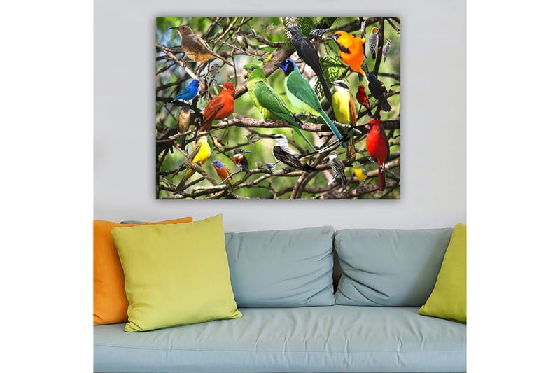 Canvas taulu 70x100 cm - Useita värikkäitä lintuja istumassa oksilla vilkkaassa luonnonympäristössä, Vihreä / Punainen / Sininen