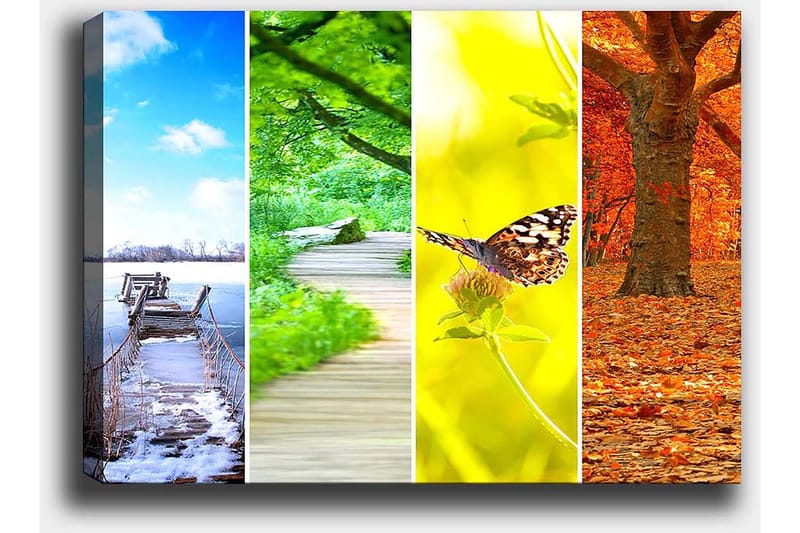 Canvas taulu 70x100 cm - Värikäs, neliosainen maalaus, joka kuvaa eri vuodenaikoja luontoaiheilla - Sininen / Vihreä / Oranssi - Sisustustuotteet - Taulu & taide - Canvas-taulu
