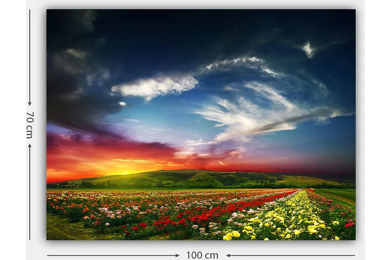 Canvas taulu 70x100 cm - Värikäs auringonlasku kukkakedolla, etualalla vaihtelevia kukkia - Punainen / Keltainen / Vihreä - Sisustustuotteet - Taulu & taide - Canvas-taulu