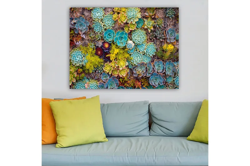 Canvas taulu 70x100 cm - Värikäs kokoelma erilaisia mehikasveja eri muodoissa ja sävyissä - Turkoosi / Vihreä / Keltainen - Sisustustuotteet - Taulu & taide - Canvas-taulu