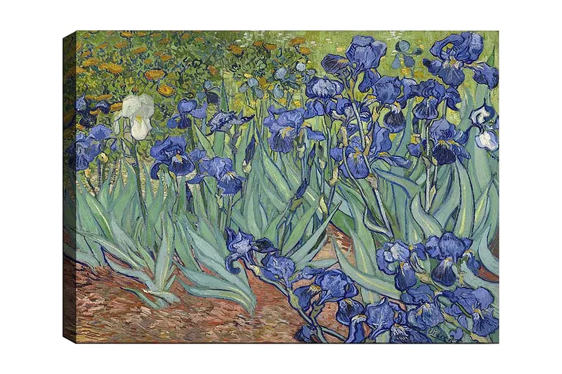 Canvas taulu 70x100 cm - Värikäs kokoelma iiriksen kukkia eri sinisen sävyissä, Sininen / Vihreä / Valkoinen